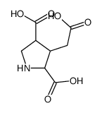 3-(carboxymethyl)pyrrolidine-2,4-dicarboxylic acid结构式