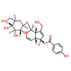 1016987-87-3 structure