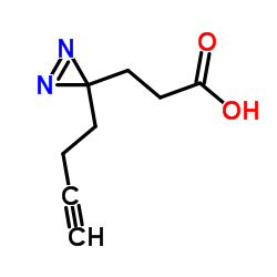 3-[3-(3-Butyn-1-yl)-3H-diazirin-3-yl]propanoic Acid Structure