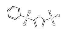 5-苯基噻酚-2,5-二磺酰氯结构式