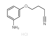 4-(3-aminophenoxy)butanenitrile structure