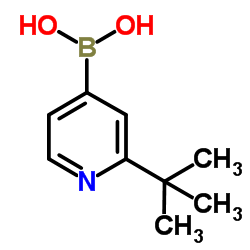 (2-(tert-butyl)pyridin-4-yl)boronic acid structure