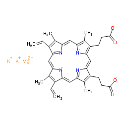 原卟啉镁IX二钾盐结构式