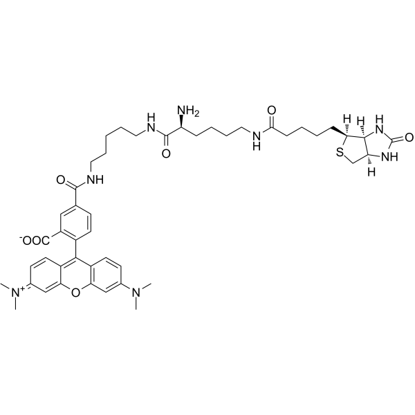 TMR Biocytin结构式