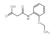 3-(2-ethoxyanilino)-3-oxopropanoic acid结构式