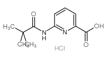 6-(2,2-DIMETHYL-PROPIONYLAMINO)-PYRIDINE-2-CARBOXYLIC ACID HYDROCHLORIDE structure