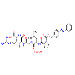 Collagenase structure