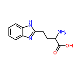 2-AMINO-4-(1H-BENZOIMIDAZOL-2-YL)-BUTYRIC ACID Structure