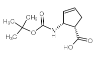 (±)-顺式-2-(Boc-氨基)-3-环戊烯羧酸图片