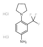 4-(1-PYRROLIDINYL)-3-(TRIFLUOROMETHYL)BEZENAMINE DIHYDROCHLORIDE picture