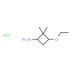 3-Ethoxy-2,2-dimethylcyclobutan-1-amine hydrochloride Structure