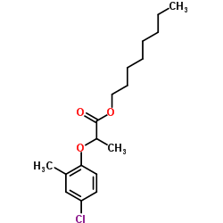 161922-37-8 structure