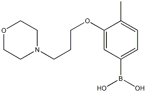 (4-甲基-3-(3-吗啉代丙氧基)苯基)硼酸结构式