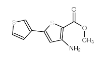 175137-07-2 structure