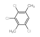 Benzene,1,3,4-trichloro-2,5-dimethyl- picture