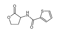 2-Thiophenecarboxamide, N-(2-oxotetrahydro-3-furyl)- picture