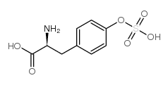 tyrosine O-sulfate Structure