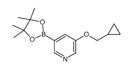 3-(cyclopropylmethoxy)-5-(4,4,5,5-tetramethyl-1,3,2-dioxaborolan-2-yl)pyridine structure