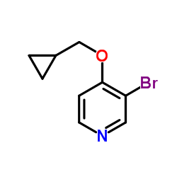 3-Bromo-4-(cyclopropylmethoxy)pyridine picture