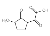 2-(1-methyl-2-oxo-pyrrolidin-3-yl)-2-oxo-acetic acid Structure