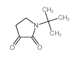 1-tert-butylpyrrolidine-2,3-dione结构式