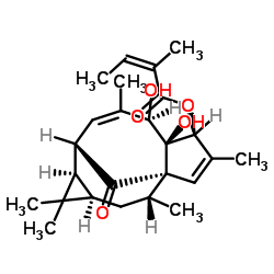 20-Deoxyingenol 3-angelate Structure