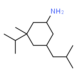 Cyclohexanamine, 3-methyl-3-(1-methylethyl)-5-(2-methylpropyl)- (9CI) structure