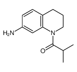 1-(7-amino-3,4-dihydro-2H-quinolin-1-yl)-2-methylpropan-1-one picture