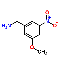 (3-甲氧基-5-硝基苯基)甲胺图片