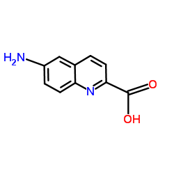 2-Quinolinecarboxylicacid,6-amino-(9CI) picture