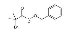 2-bromo-2-methyl-N-(phenylmethoxy)propanamide Structure