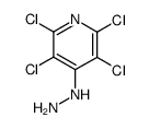 2,3,5,6-tetrachloro-4-hydrazinopyridine Structure