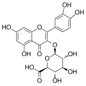 Quercetin-3-O-glucuronide picture