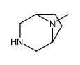 8-methyl-3,8-diazabicyclo[3.2.1]octane structure