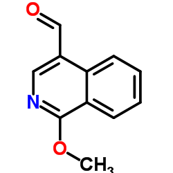 1005772-69-9 structure