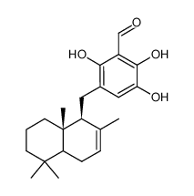 siphonodictyal C structure