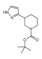 3-(1H-吡唑-3-基)哌啶-1-羧酸叔丁酯图片