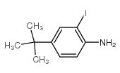 4-(Tert-Butyl)-2-Iodoaniline structure