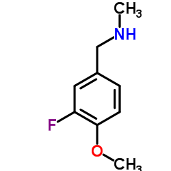 N-(3-fluoro-4-methoxybenzyl)-N-methylamine结构式