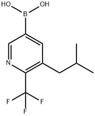 2225175-20-0结构式