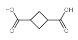 Cyclobutane-1,3-dicarboxylic acid structure