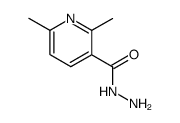 2,6-Dimethylnicotinsaeurehydrazid Structure