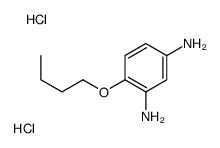 4-butoxybenzene-1,3-diamine,dihydrochloride Structure