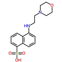 5-(2-MORPHOLIN-4-YL-ETHYLAMINO)-NAPHTHALENE-1-SULFONIC ACID picture