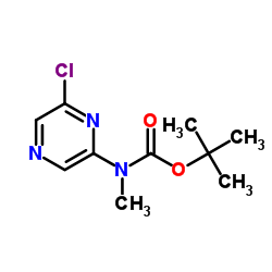 2-Methyl-2-propanyl (6-chloro-2-pyrazinyl)methylcarbamate结构式