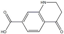 4-oxo-1,2,3,4-tetrahydroquinoline-7-carboxylic acid图片