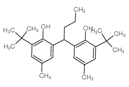 2,2'-Butylidenebis(6-tert-butyl-p-cresol) structure