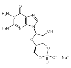 1-nh2-cgmp sodium salt结构式