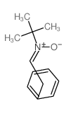 2-Propanamine,2-methyl-N-(2-phenylethylidene)-, N-oxide Structure