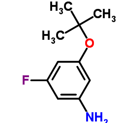 3-Fluoro-5-[(2-methyl-2-propanyl)oxy]aniline Structure